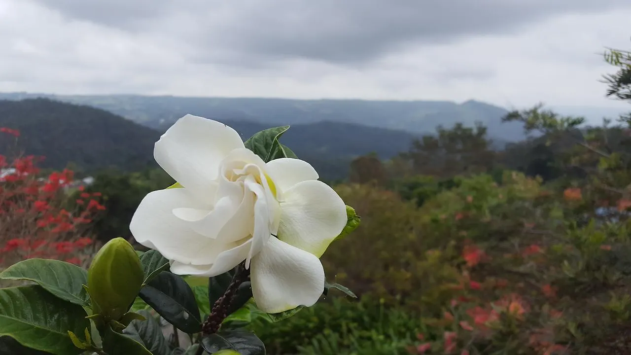 Lodge Blue Summit Cottages Maleny